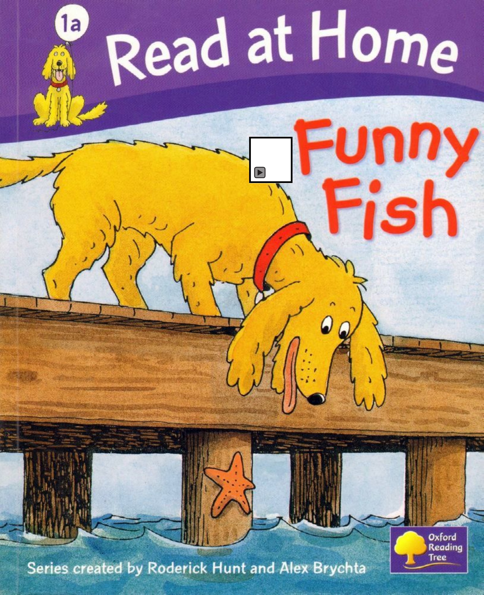 Funny Fish 封面