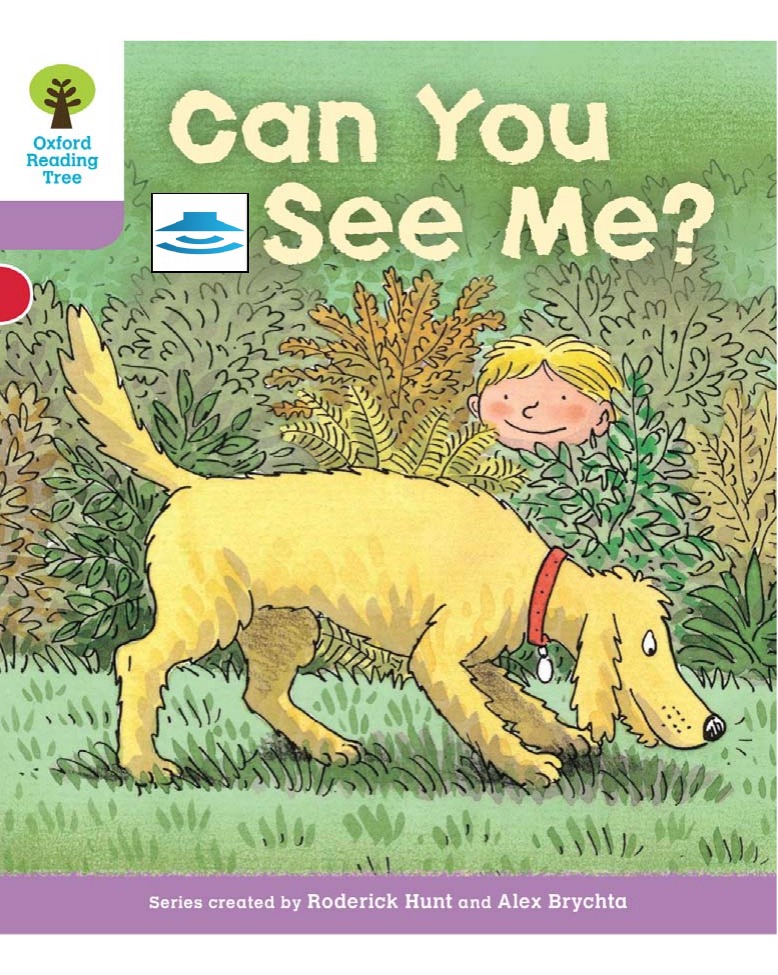 Can You See Me? 封面