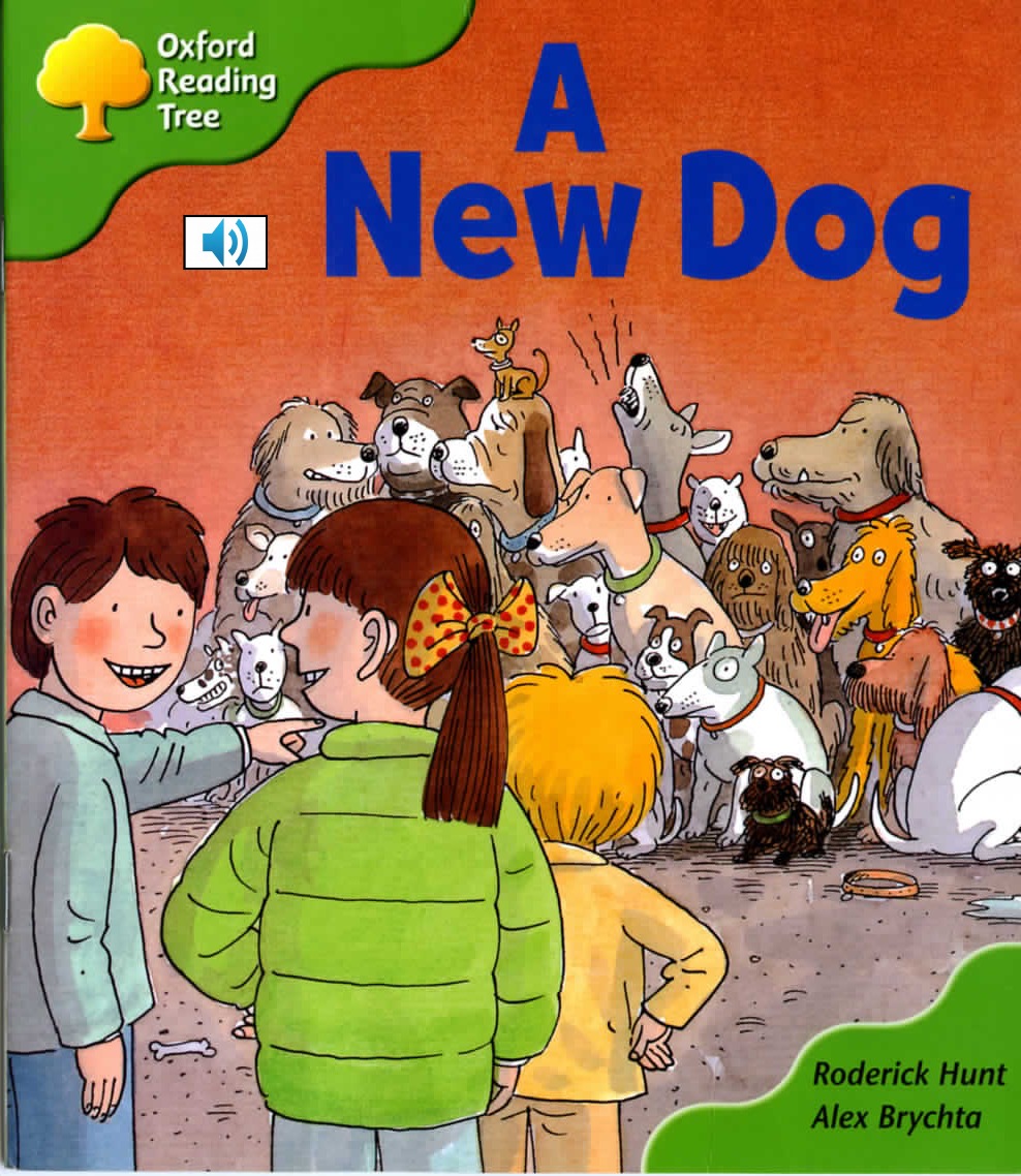 A New Dog 封面