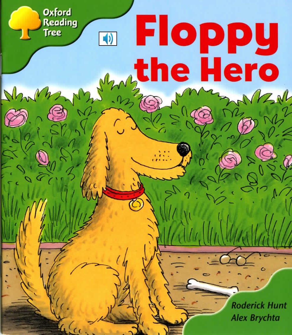 Floppy the Hero 封面