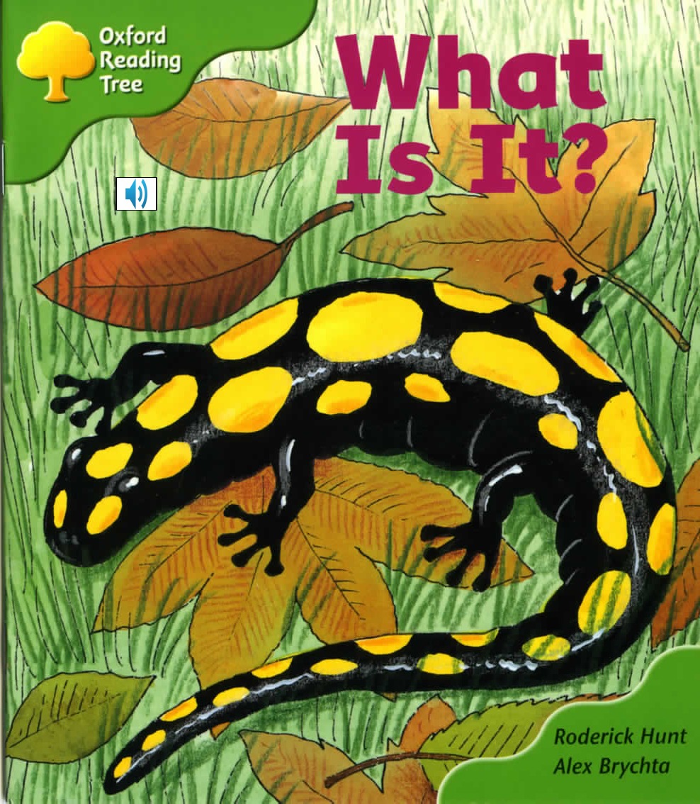What Is It? 封面
