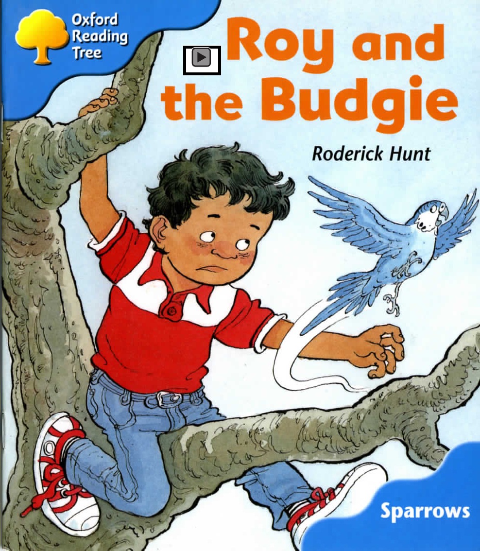 Roy and the Budgie 封面