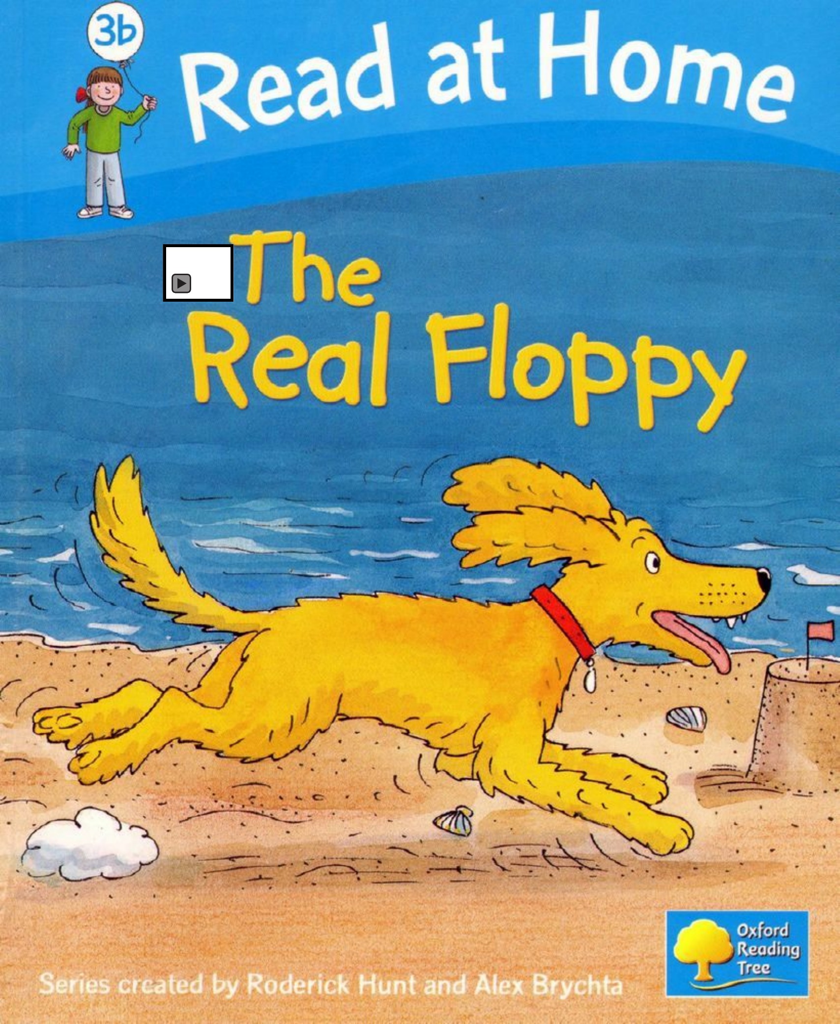 The Real Floppy 封面