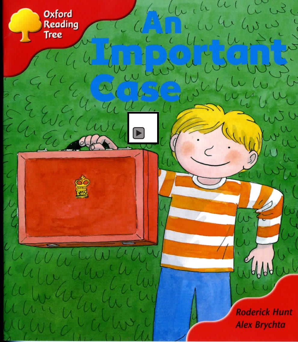 An Important Case 封面