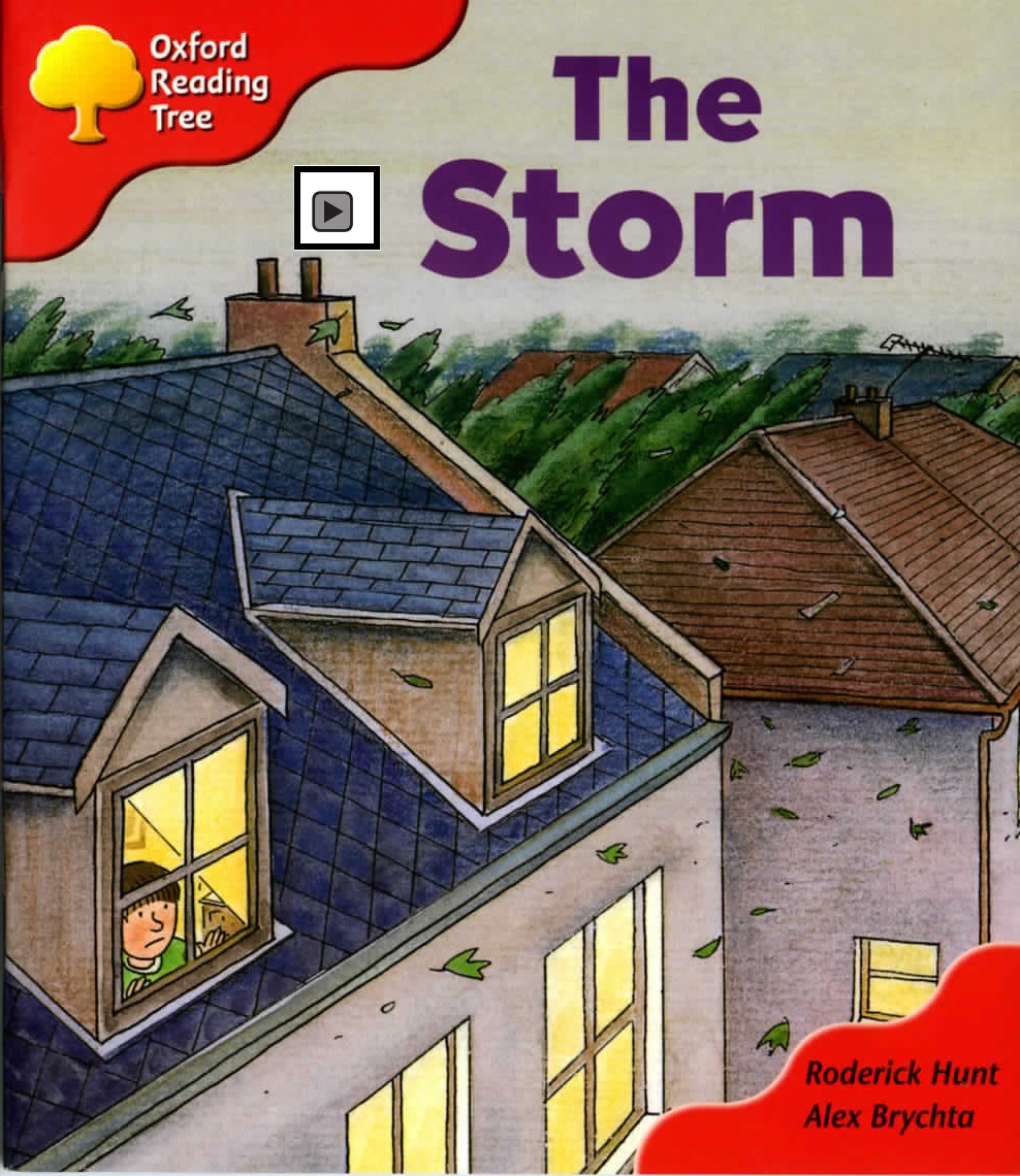 The Storm 封面